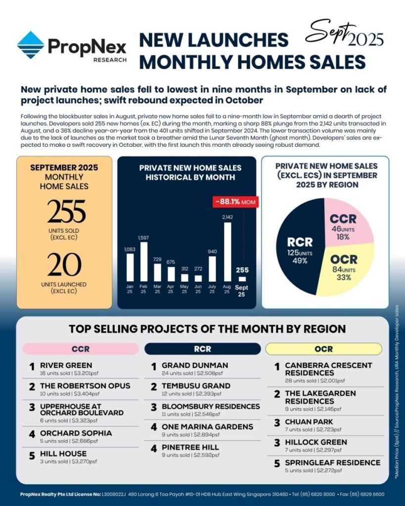 my template original (2)